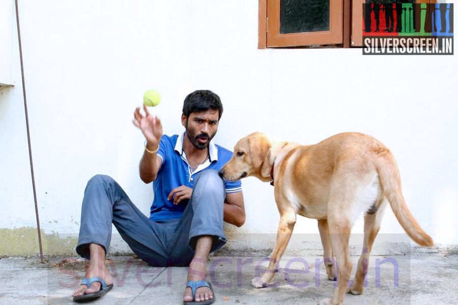 Actor Dhanush in Velaiyilla Pattathari Movie Stills