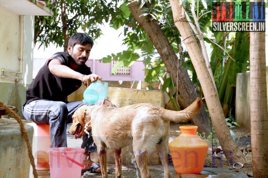 Actor Dhanush in Velaiyilla Pattathari Movie Stills