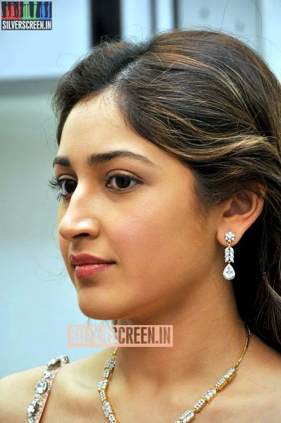 Actress Sayesha Saigal Photos