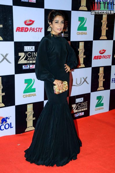 Celebrities at the Zee Cine Awards 2016