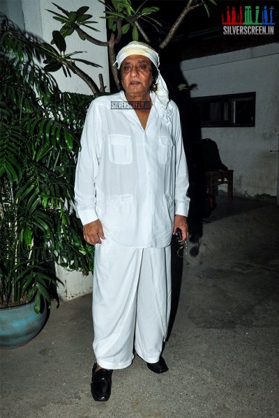 Dia Mirza at Taj Mahal Movie Premiere