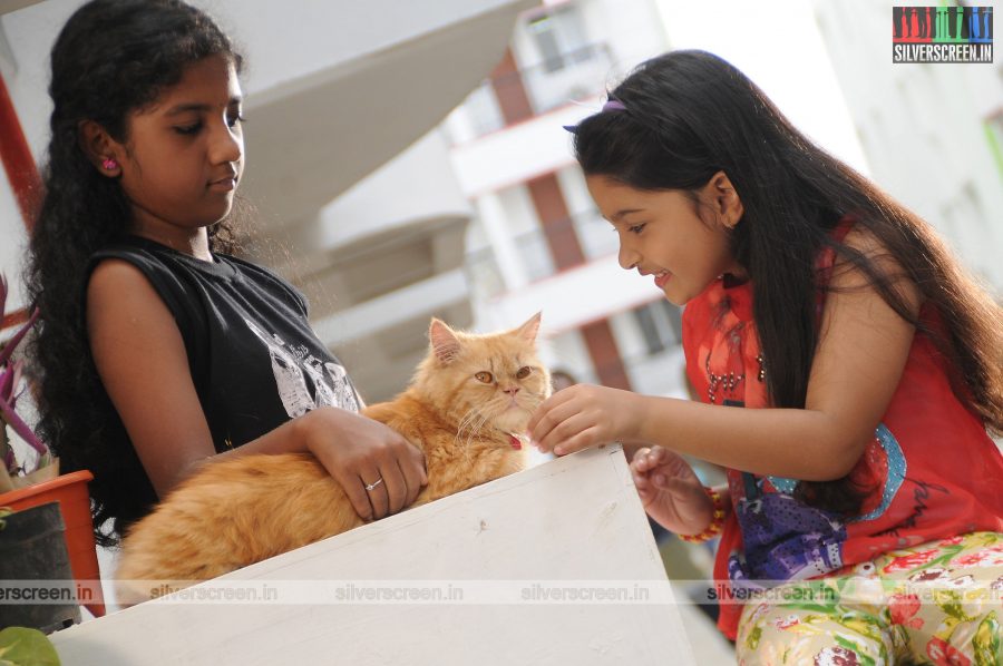 meow-movie-stills-0109.jpg