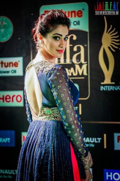 in-pictures-akshara-haasan-ritika-singh-shriya-saran-anupama-parameshwaran-and-others-at-iifa-utsavam-2017-day-2-photos-0039.jpg