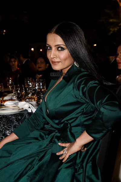 Celina Jaitly at the Masala Awards in Dubai