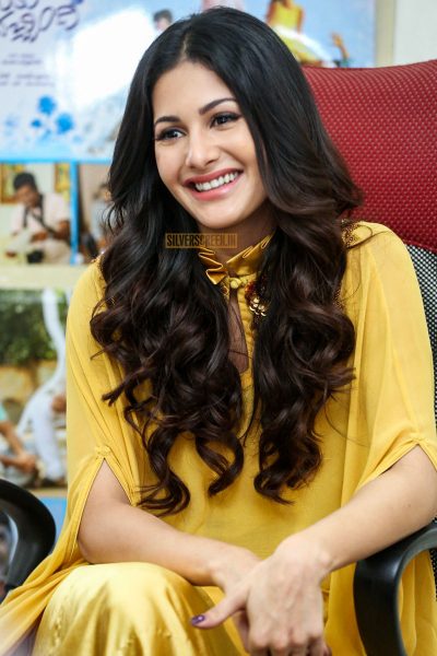 Amyra Dastur During A Press Meet On Manasuku Nachindi