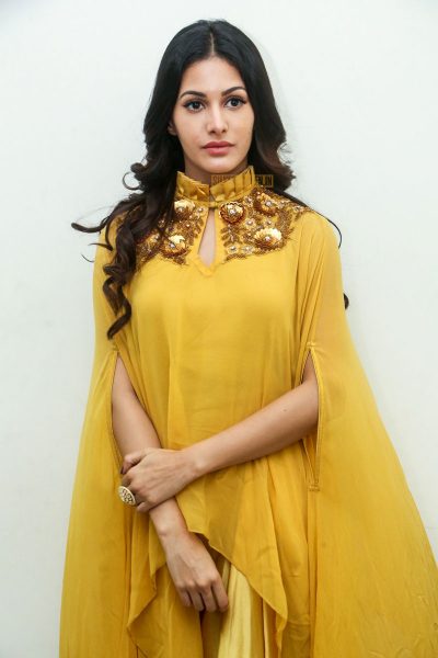 Amyra Dastur During A Press Meet On Manasuku Nachindi