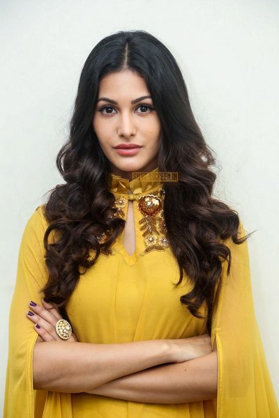 Amyra Dastur During A Press Meet On Manasuku Nachindi