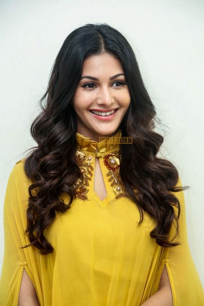 Amyra Dastur During A Press Meet On Manasuku Nachindi