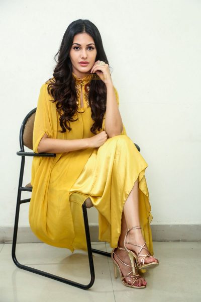 Amyra Dastur During A Press Meet On Manasuku Nachindi