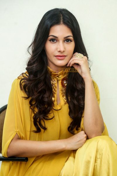 Amyra Dastur During A Press Meet On Manasuku Nachindi