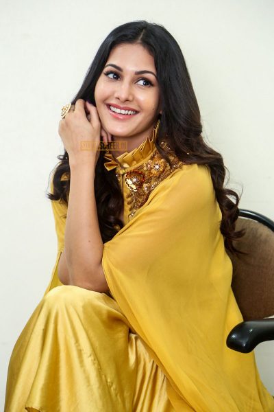 Amyra Dastur During A Press Meet On Manasuku Nachindi