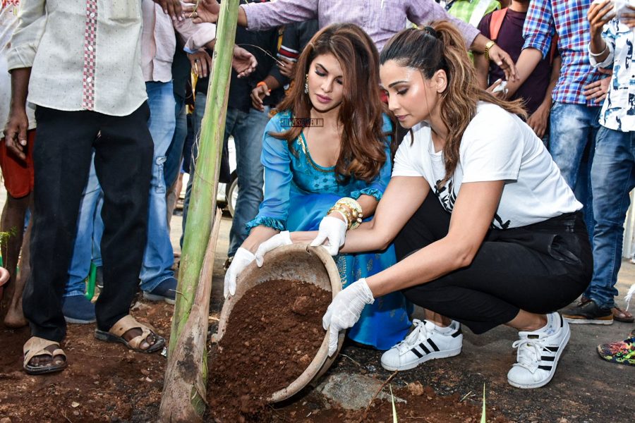 Jacqueline Fernandez, Daisy Shah At A Tree Plantation Event On World Environment Day