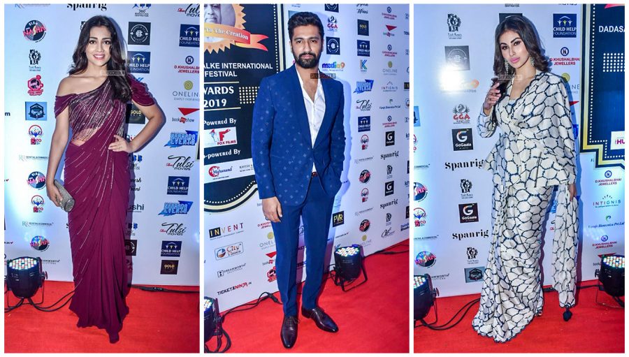 Celebrities At Dadasaheb Phalke International Film Festival Awards 2019