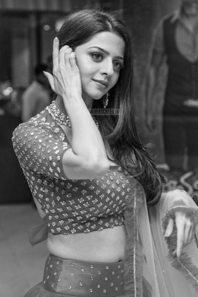 Vedhika At The 'Kanchana 3' Success Meet